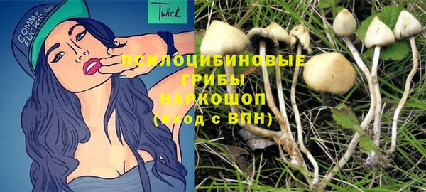 молекула духа Алексеевка