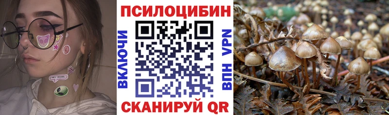 Псилоцибиновые грибы прущие грибы кракен ТОР Кореновск