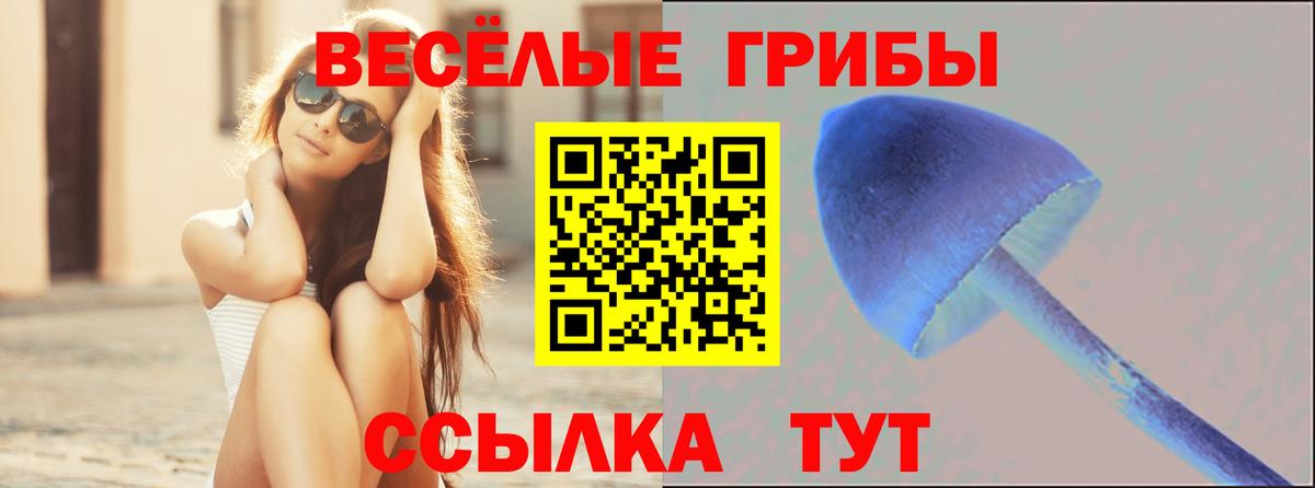 Псилоцибиновые грибы мицелий Кореновск