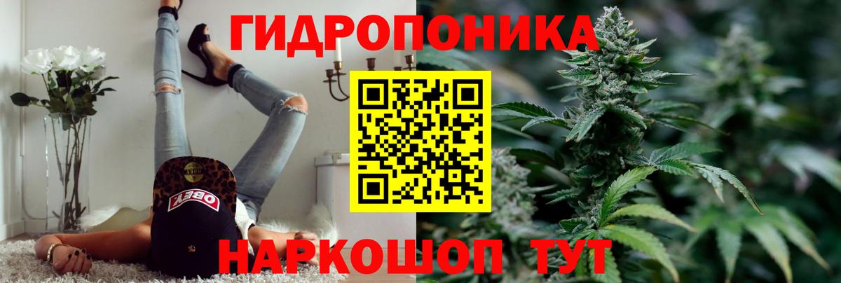 Конопля марихуана Кореновск